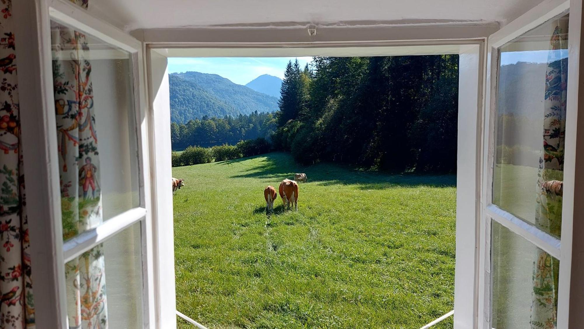 Jaegerhaus Villa Hintersee Buitenkant foto