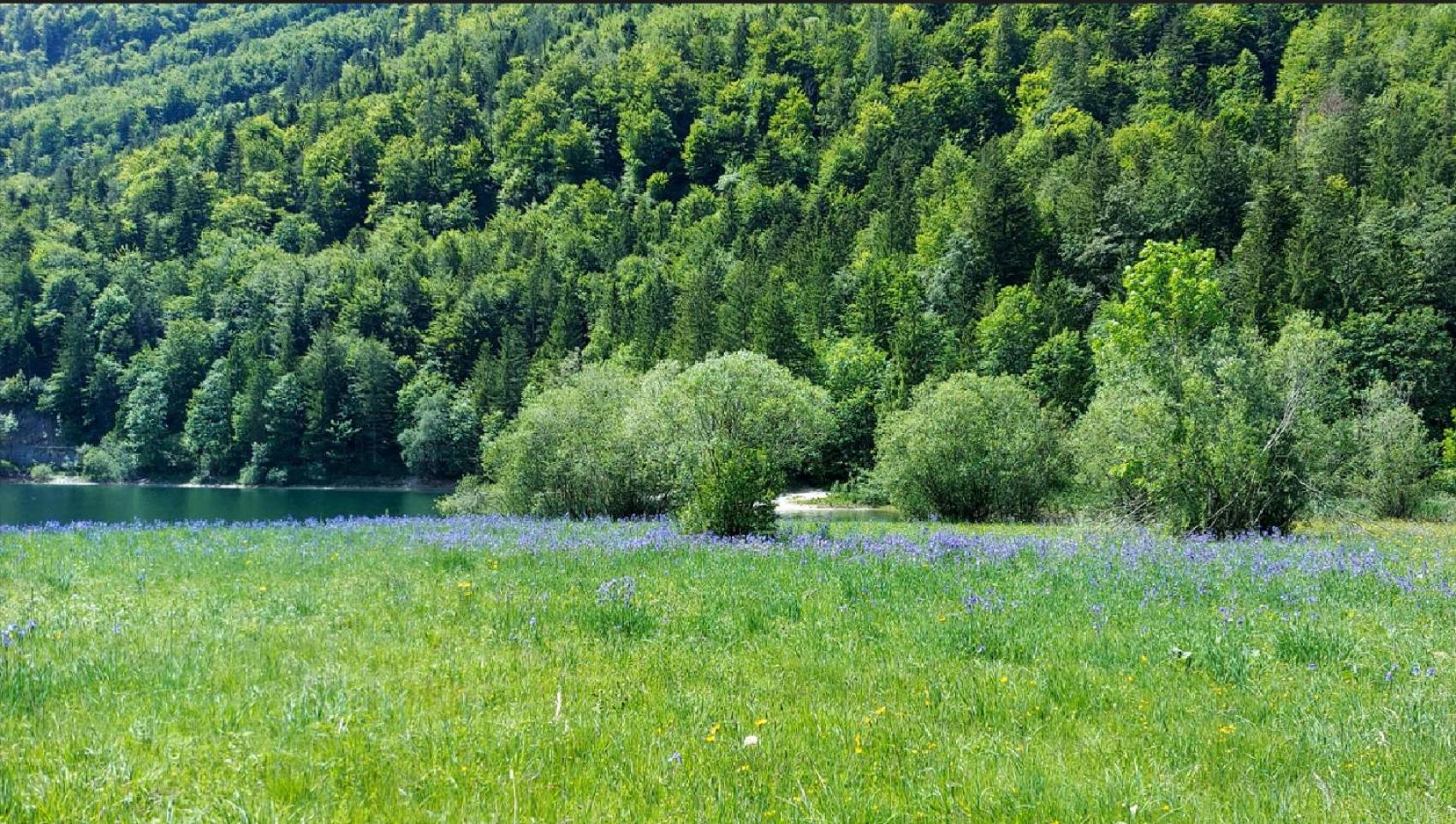 Jaegerhaus Villa Hintersee Buitenkant foto
